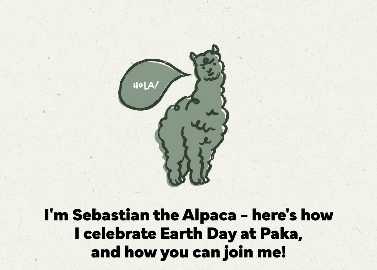 Hola! I'm Sebastian