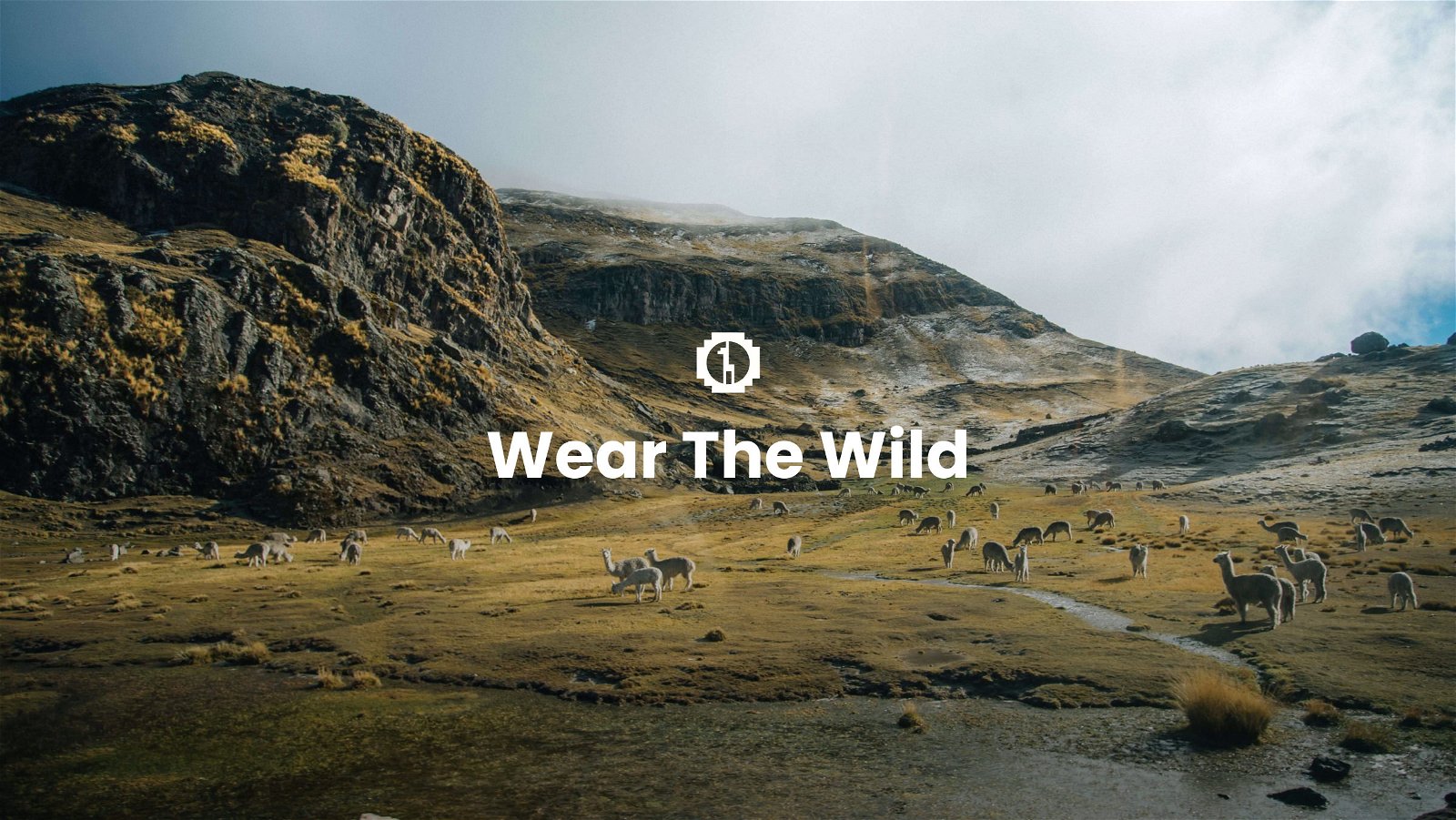 Wear the wild