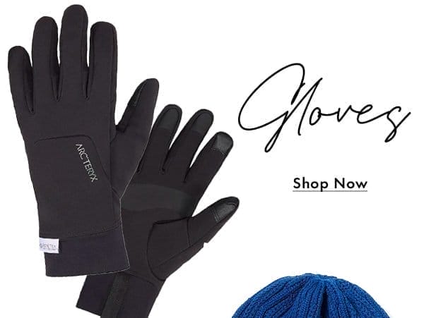 Gloves