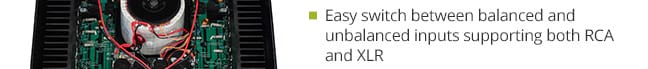 Easy switch between balanced and unbalanced inputs supporting both RCA and XLR