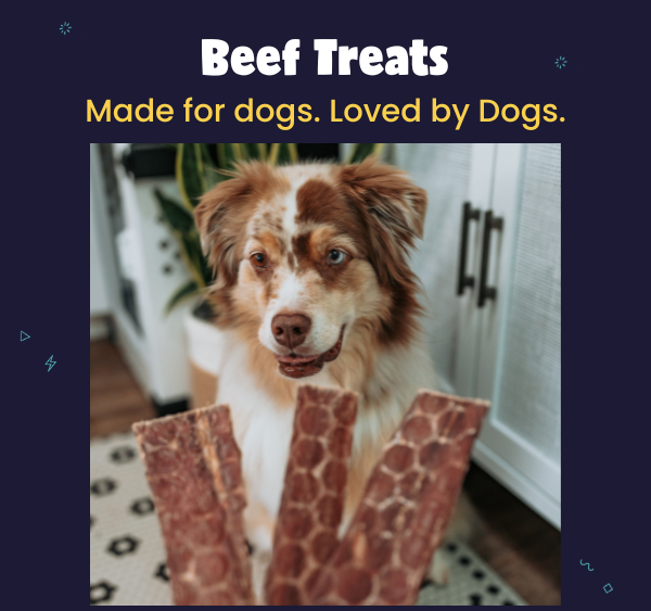 Beef Treats