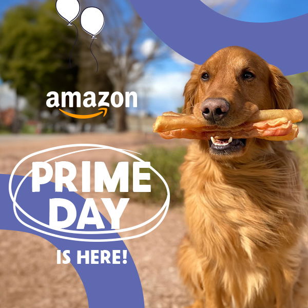 Prime Day is Here! 