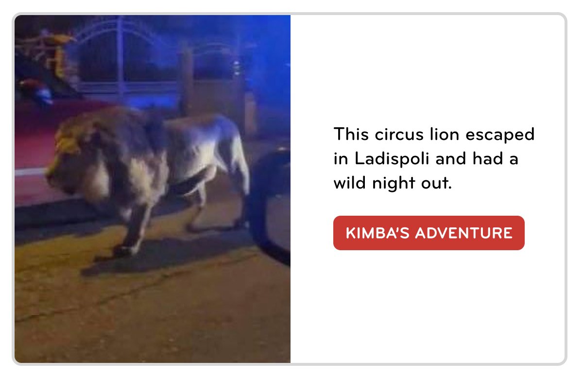 kimba's adventure