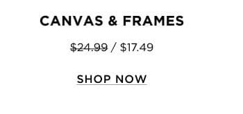 Canvas & Frames