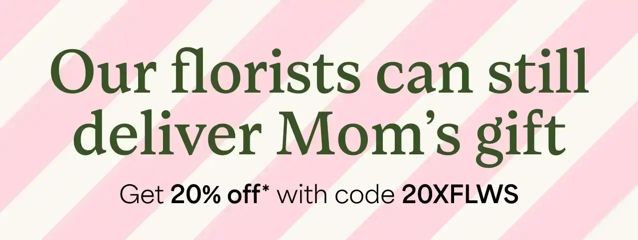 20% off Mother's Day Gifts