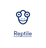 Reptile