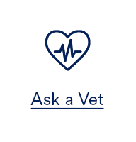 Ask a Vet