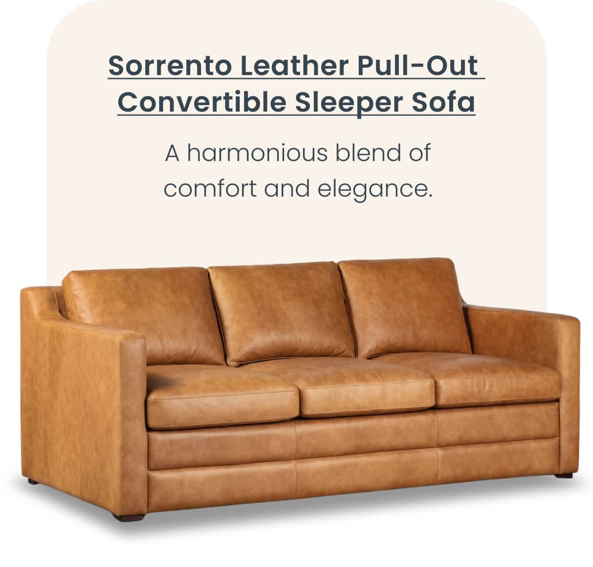 Sorrento Leather Pull-Out Convertible Sleeper Sofa