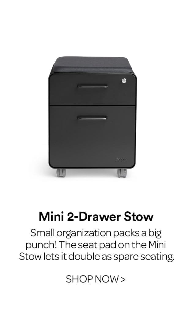 Mini 2-Drawer Stow