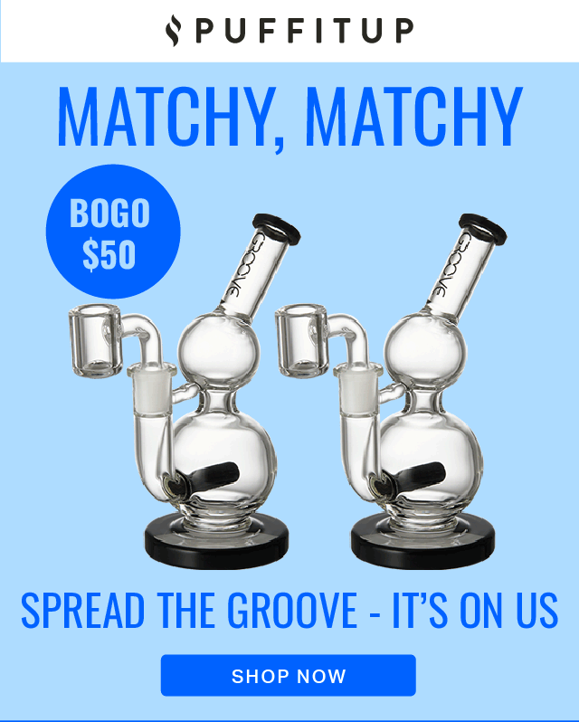 SPREAD THE GROOVE - IT'S ON US