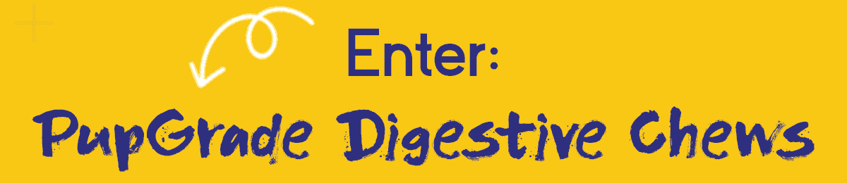 Enter: Digestive Chews