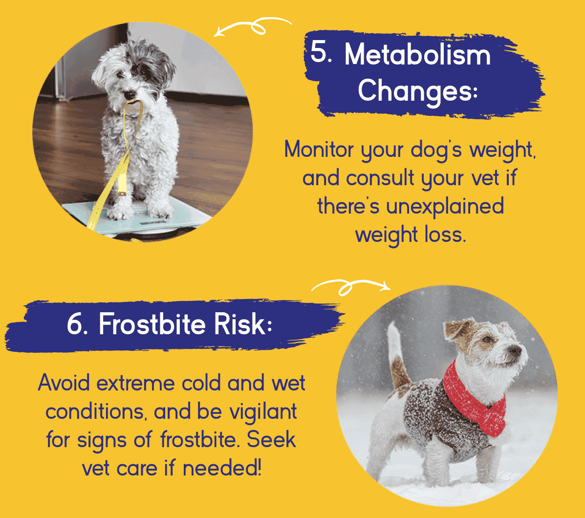 Metabolism changes & Frostbite risk