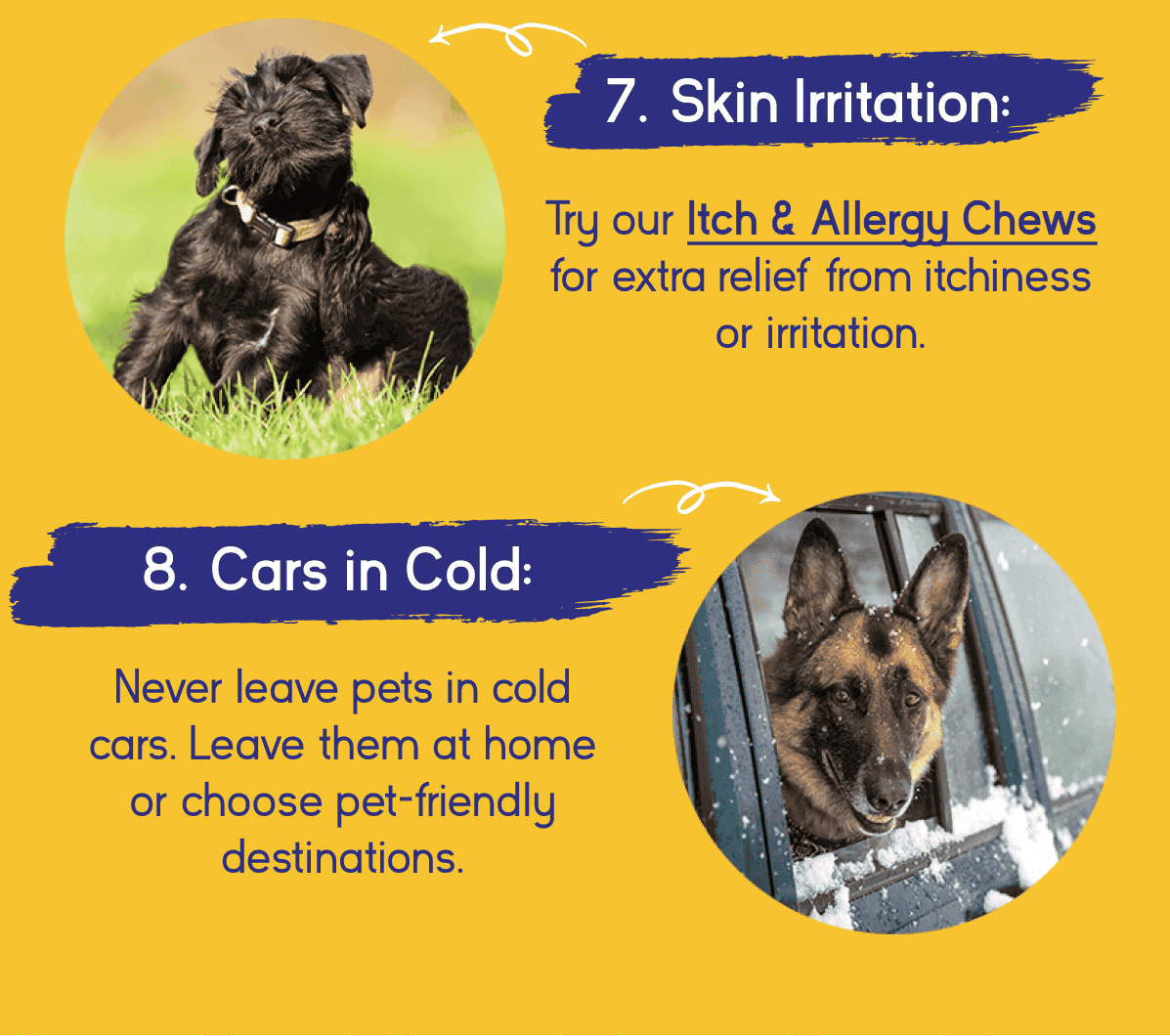 Skin Irritation & Cars in cold