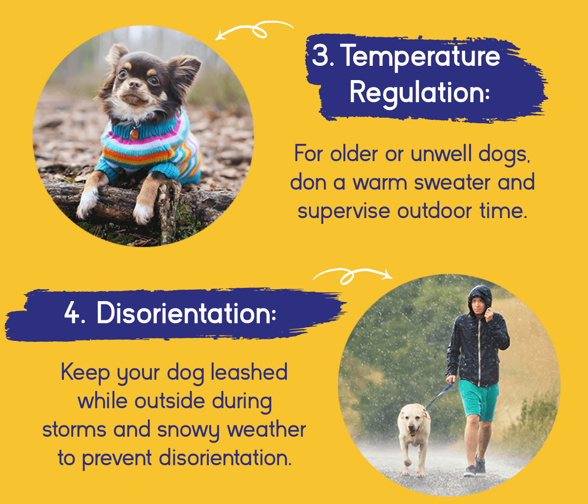 Temperature regulation & disorientation