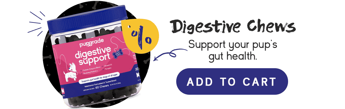 Digestive Chews | Support your pup's gut health.