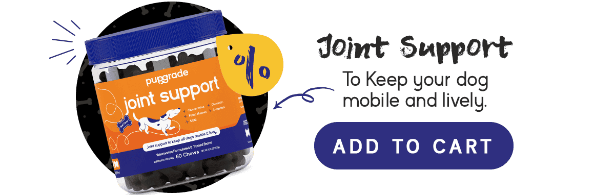 Joint Support | To keep your dog mobile and lively.