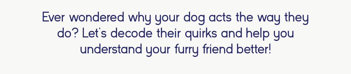 Ever wondered why your dog acts the way they do? Let’s decode their quirks and help you understand your furry friend better!