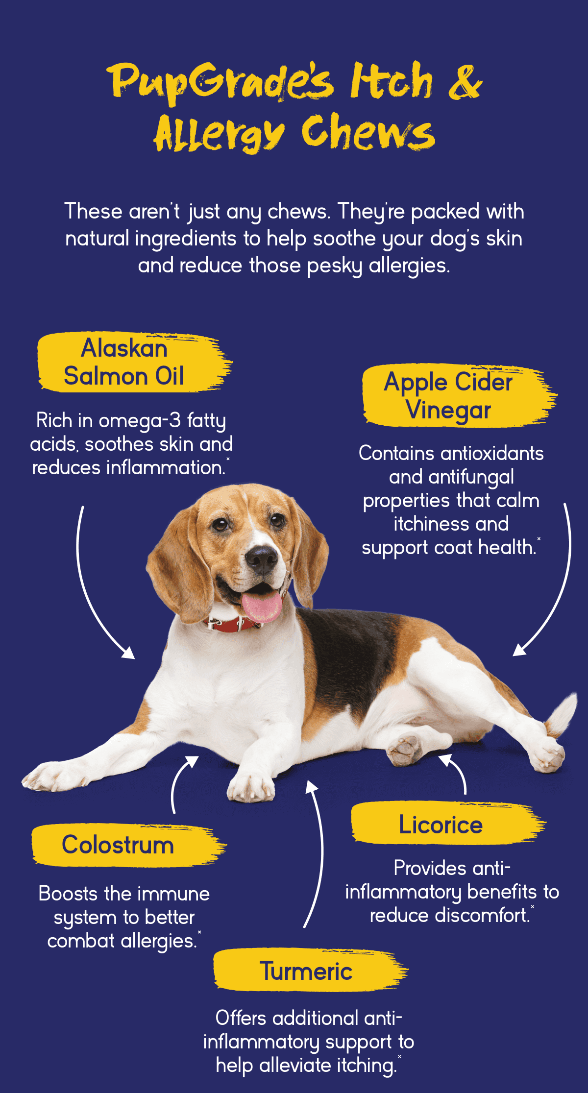 PupGrade Itch & Allergy Chews