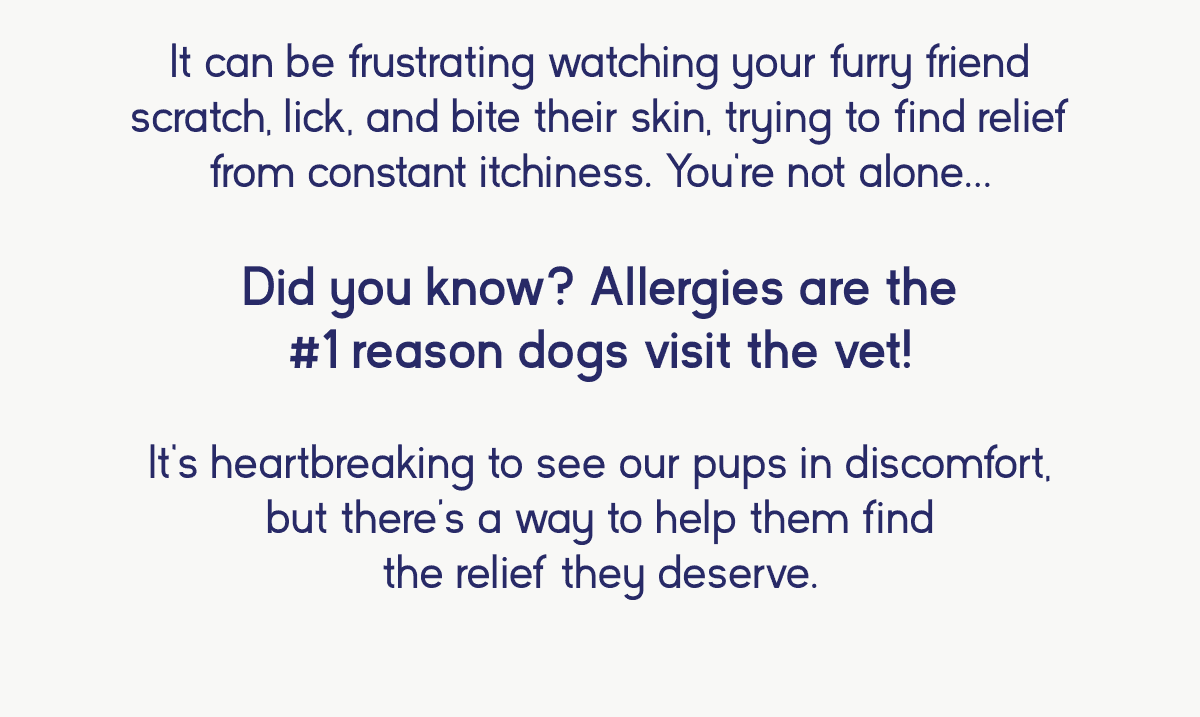 allergies in dogs