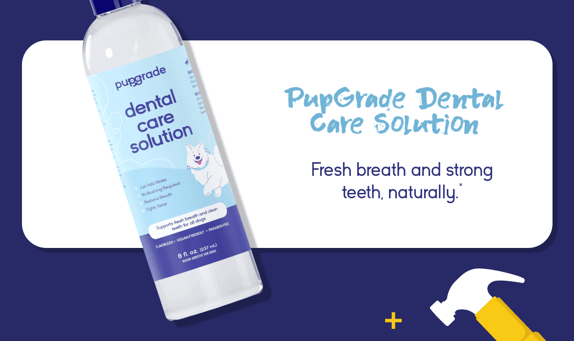 Dental Care Solution