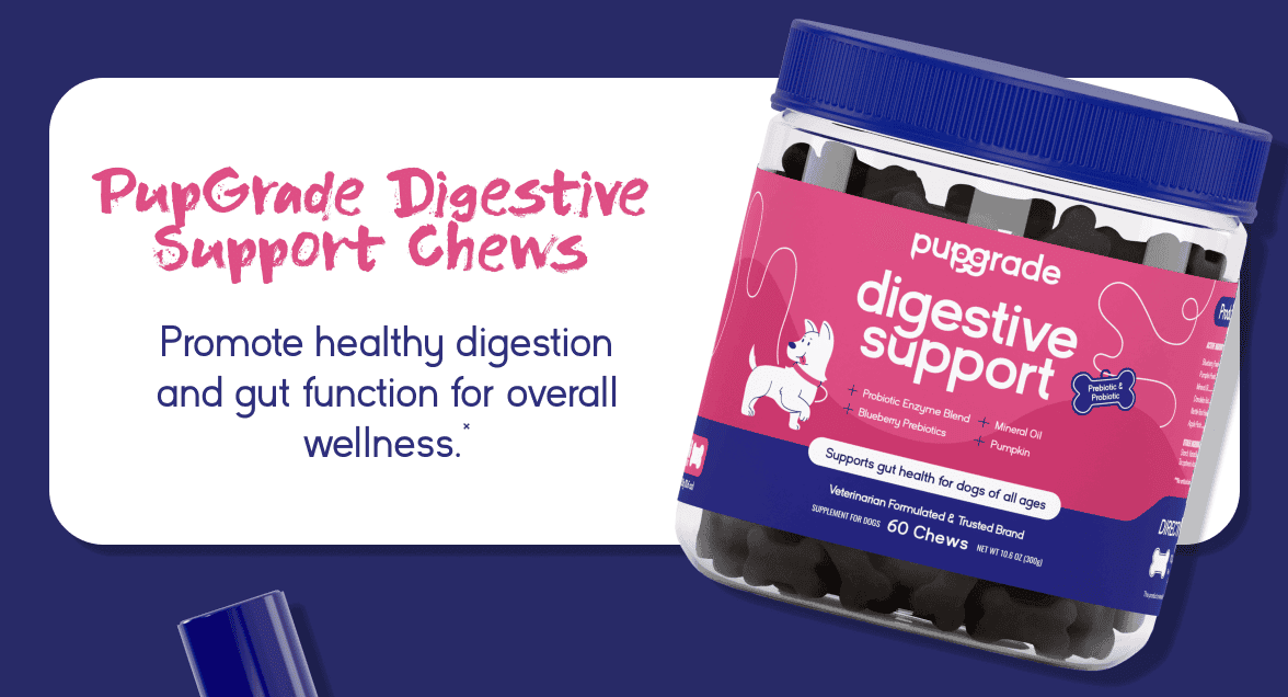 Digestive Support