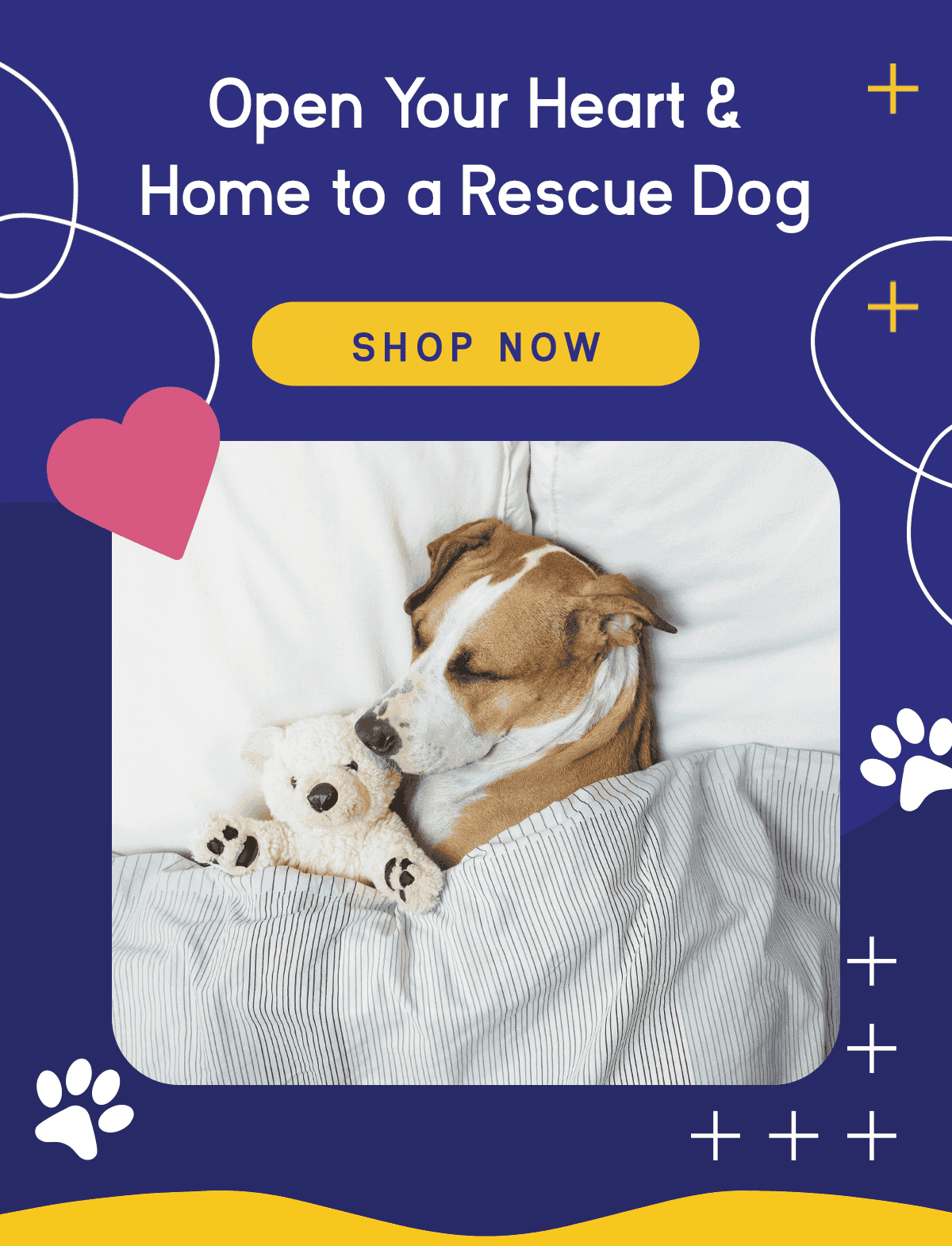Open your heart & Home to a rescue