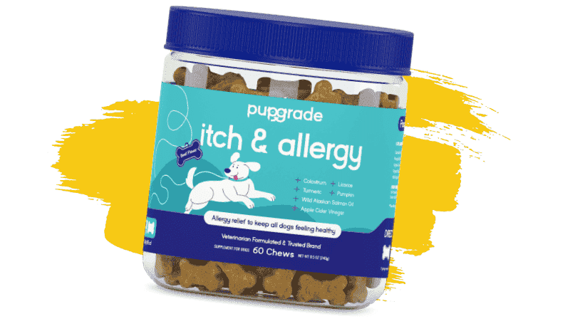 Itch & Allergy chews