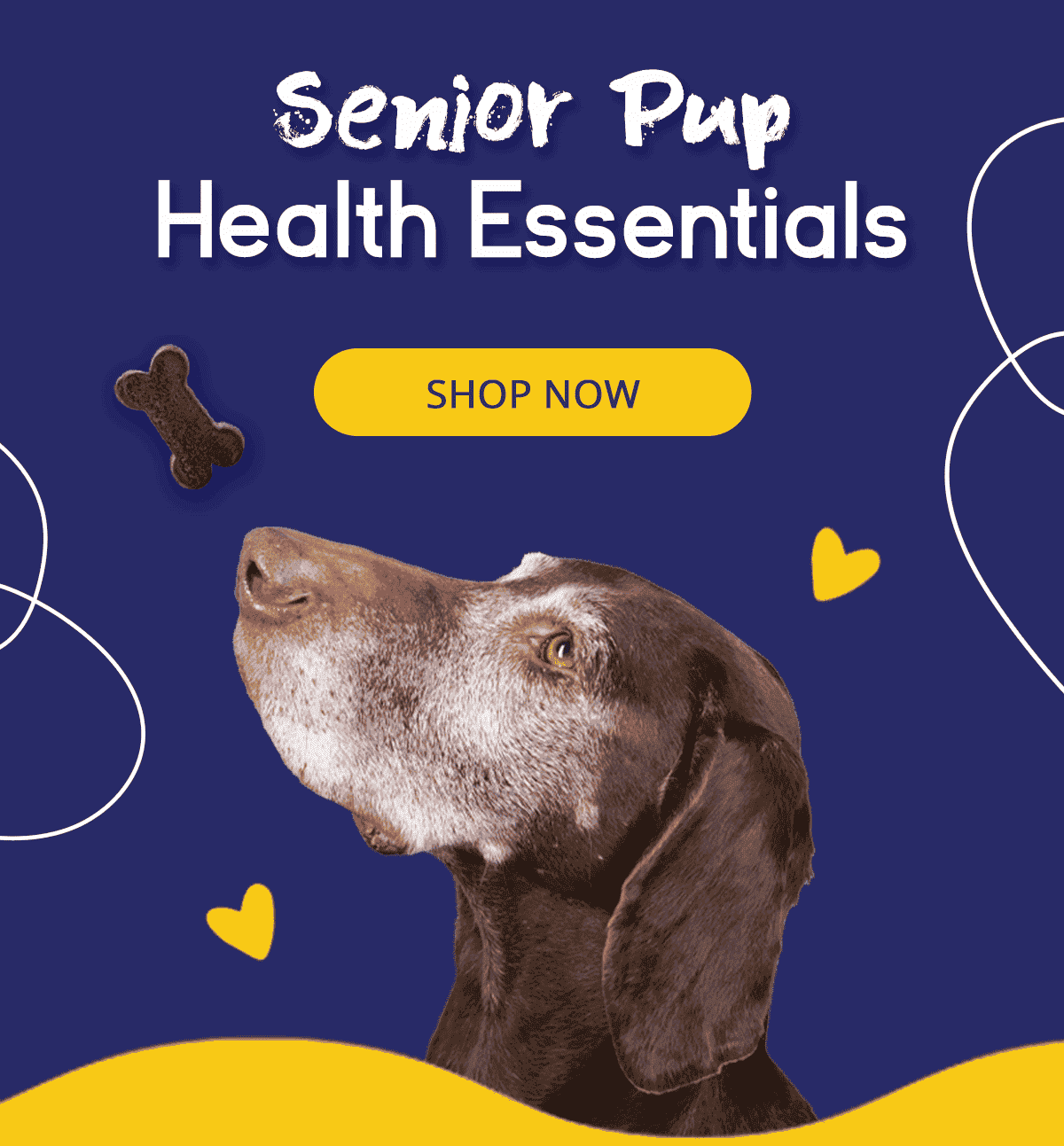 Senior Pup Health Essentials