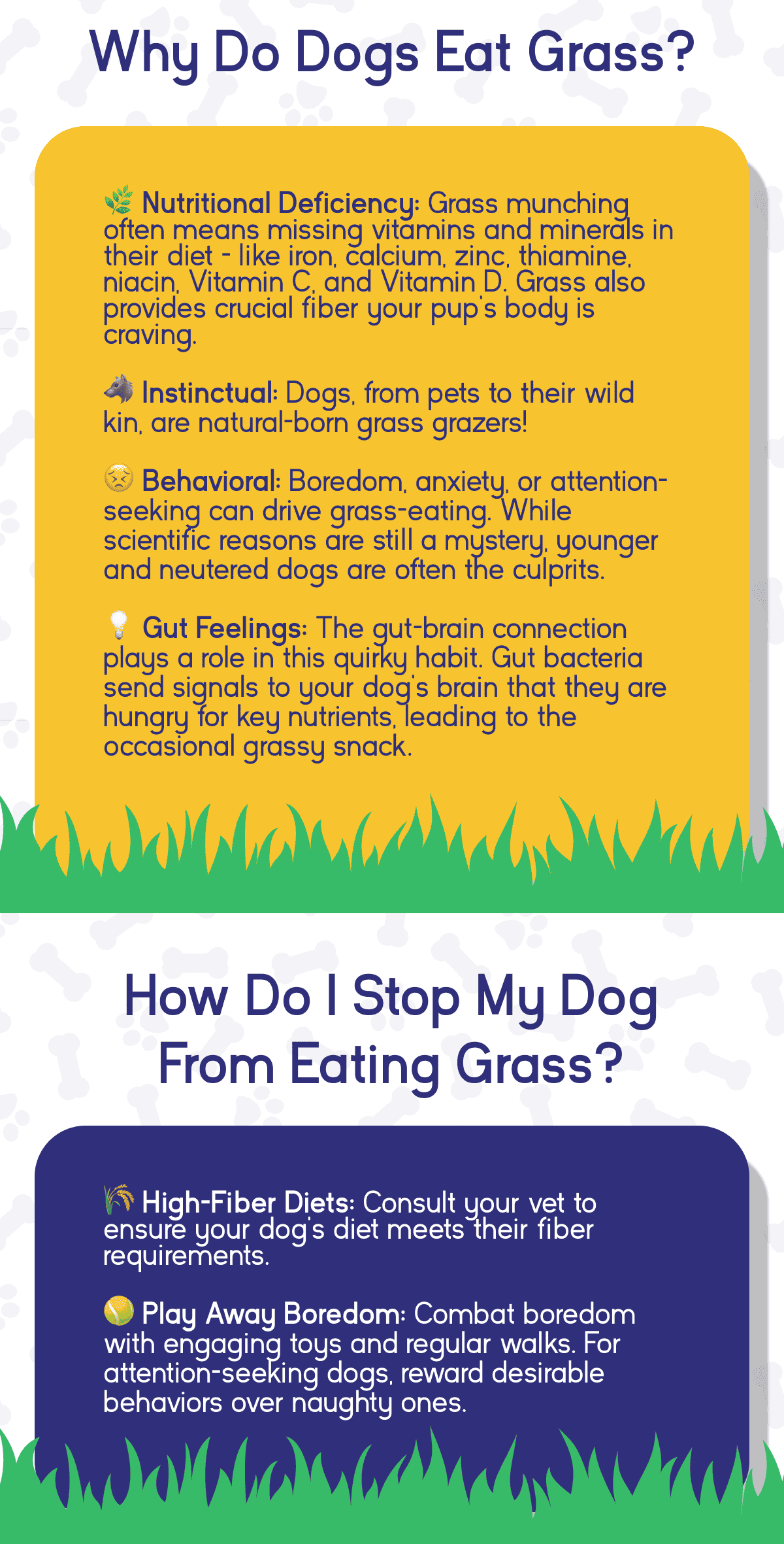 How do I stop my dog from eating grass?