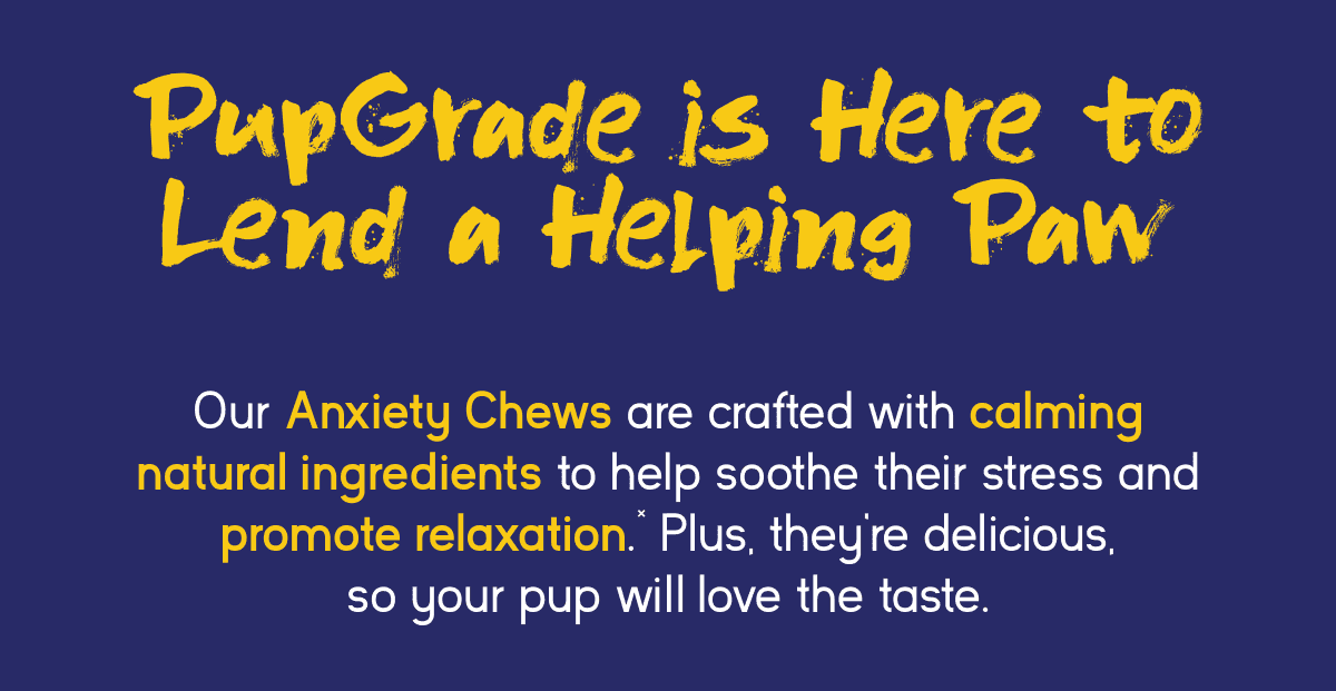 PupGrade Anxiety Chews