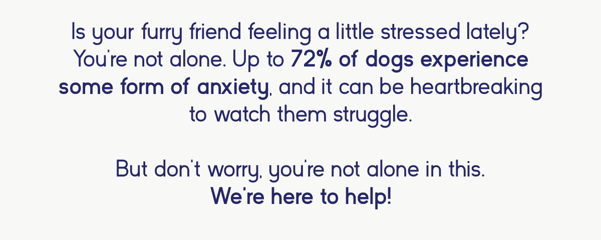 Understanding your dog's anxiety