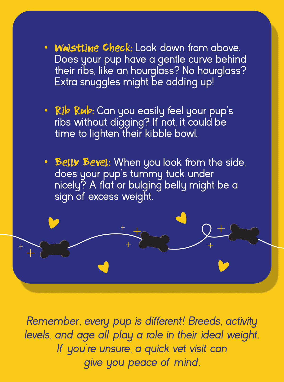 Waistline Check: Look down from above. Does your pup have a gentle curve behind their ribs, like an hourglass? No hourglass? Extra snuggles might be adding up! Rib Rub: Can you easily feel your pup's ribs without digging? If not, it could be time to lighten their kibble bowl. Belly Bevel: When you look from the side, does your pup's tummy tuck under nicely? A flat or bulging belly might be a sign of excess weight.