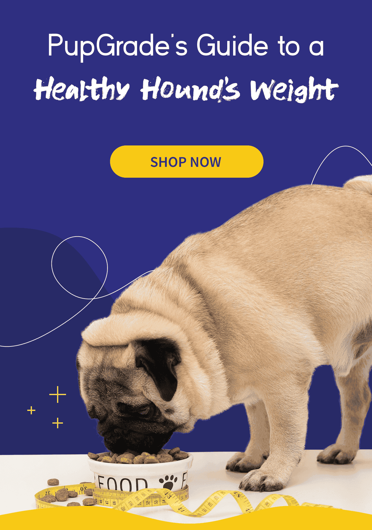 PupGrade's Guide to a Healthy Hound's Weight