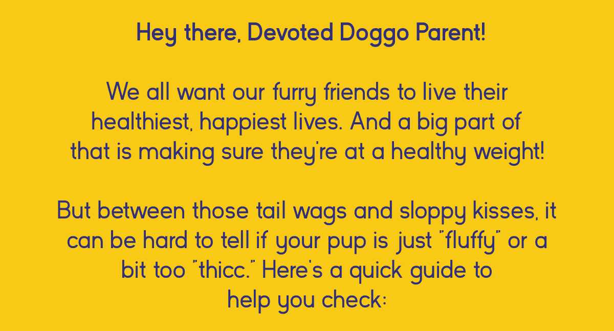 Hey there, Devoted Doggo Parent! We all want our furry friends to live their healthiest, happiest lives. And a big part of that is making sure they're at a healthy weight! But between those tail wags and sloppy kisses, it can be hard to tell if your pup is just "fluffy" or a bit too "thicc." Here’s a quick guide to help you check: