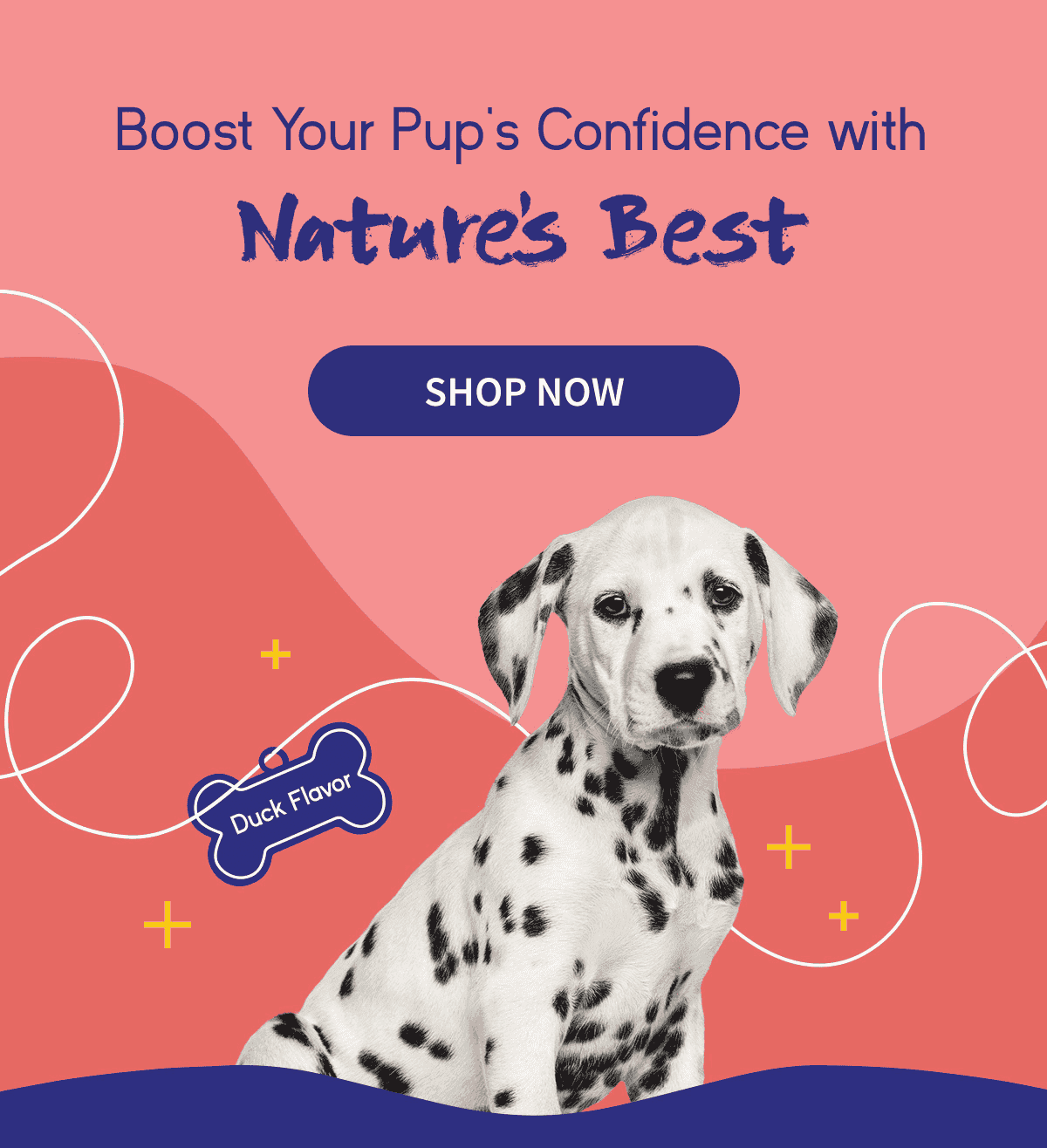 Boost Your Pup's Confidence with Nature's Best