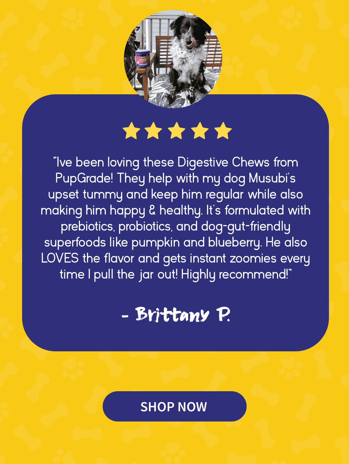 Brittany Review