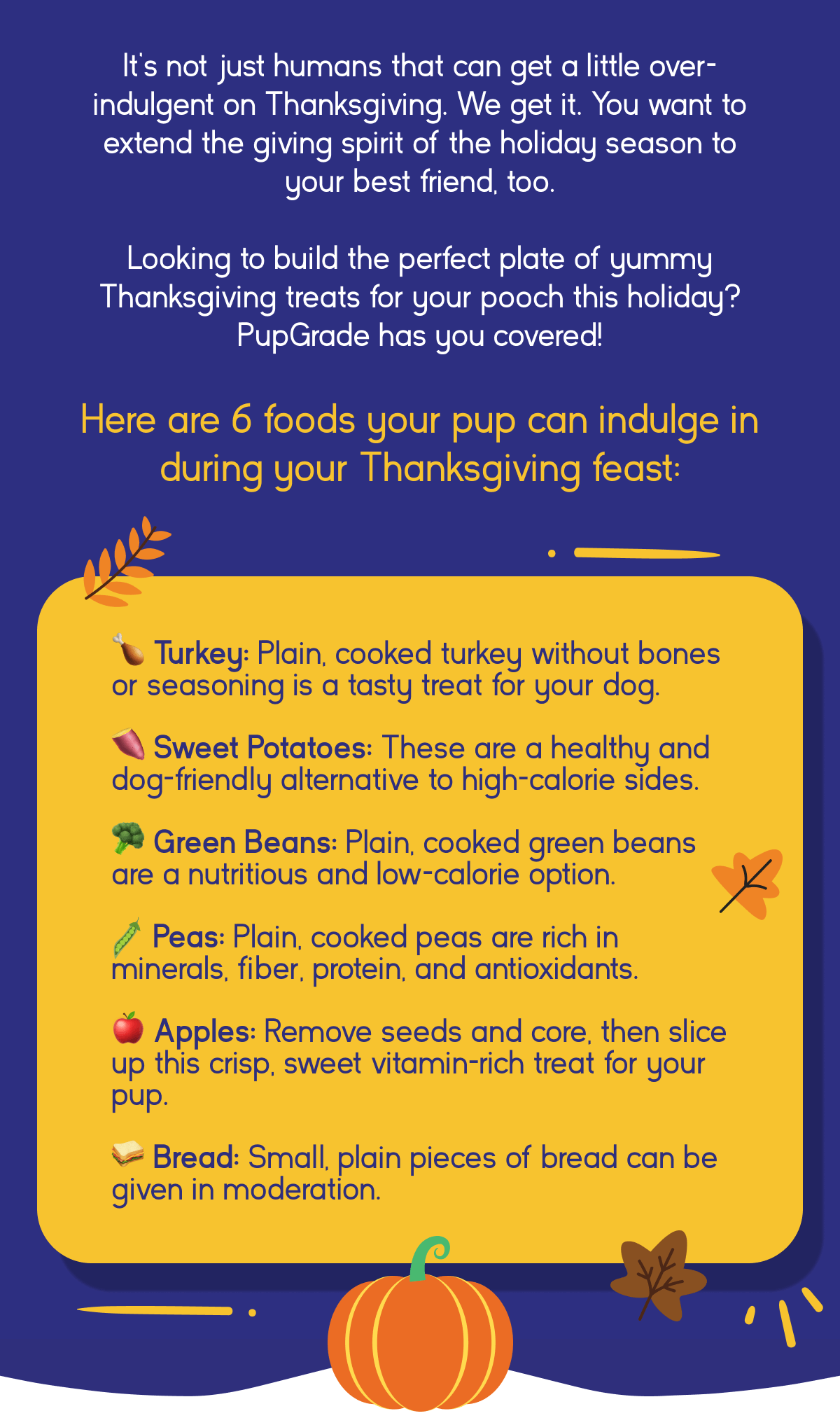 What can Fido eat on Thanksgiving?