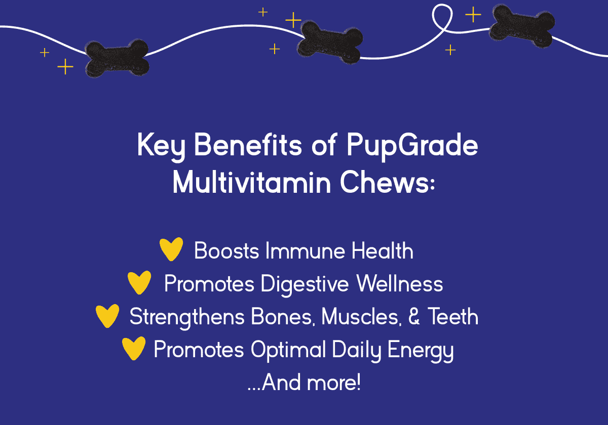 PupGrade Joint Support