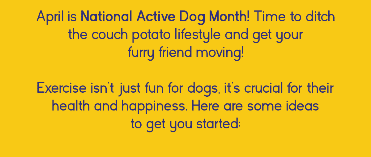 April is National Active Dog month!