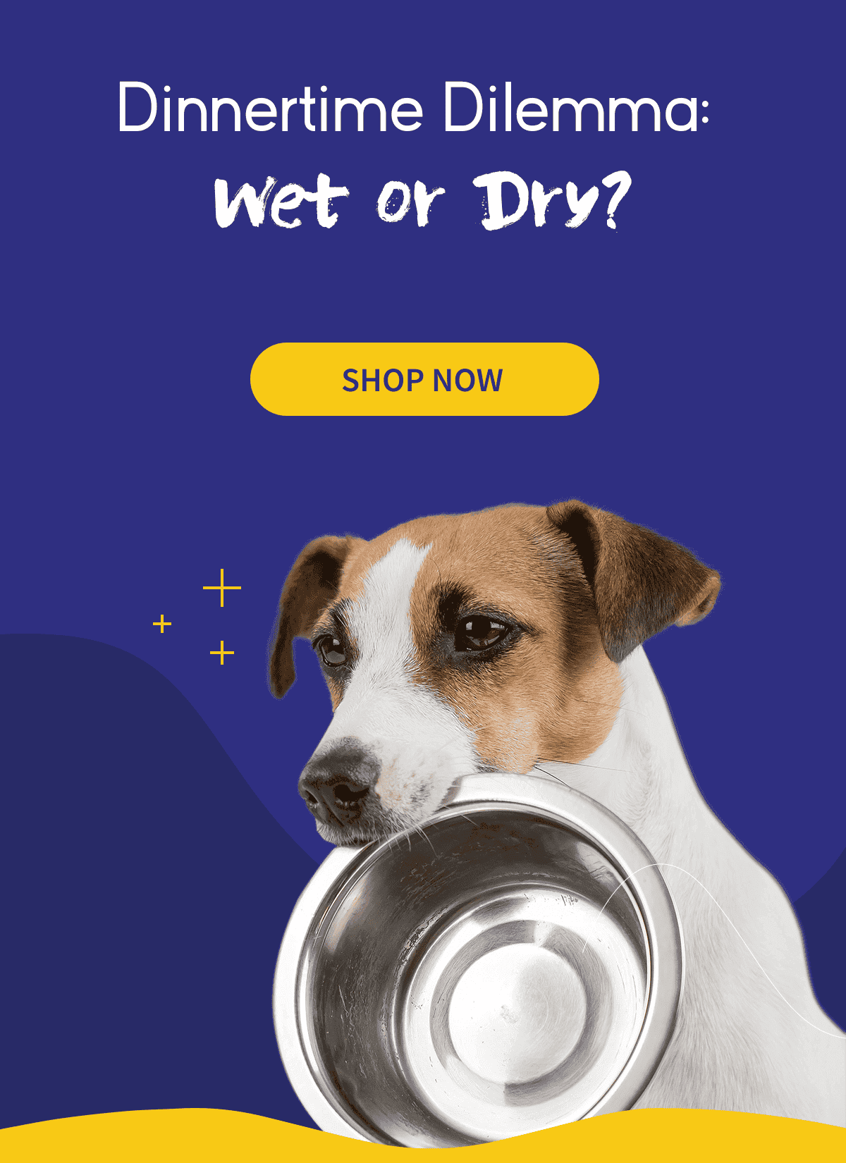Dinnertime dilemma: Wet or dry?