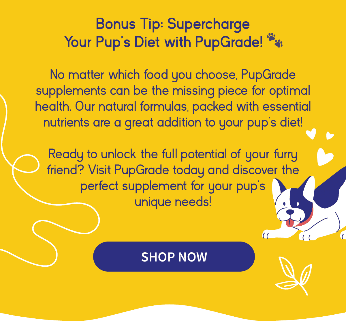 Supercharge your pup's diet with PupGrade!