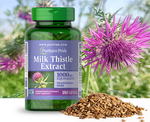 Milk Thistle