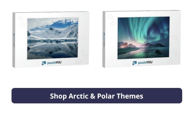 Shop Arctic & Polar Themes
