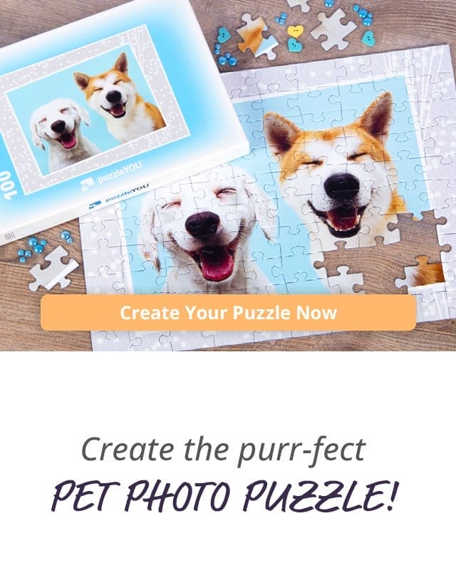 Create Your Puzzle Now | Create the purr-fect pet photo puzzle!