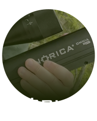 Norica