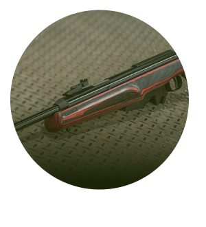 Diana