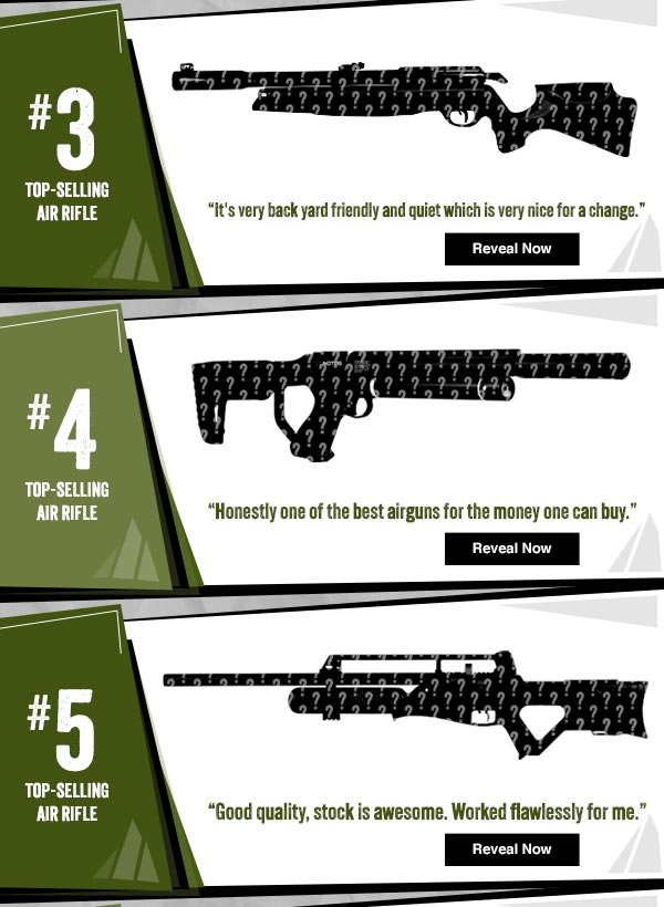 Our Top-Selling Air Rifles from 2023!