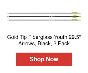 Gold Tip Fiberglass Youth 29.5 Arrows, Black, 3 Pack