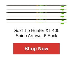 Gold Tip Hunter XT 400 SpineArrows, 6 Pack