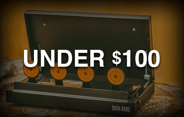 Great Gifts Under \\$100